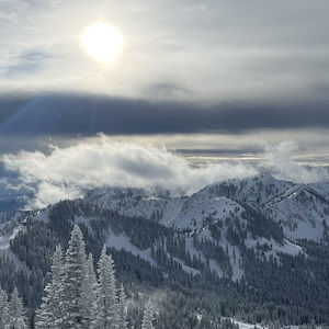 Meet your Posher, Mitchell